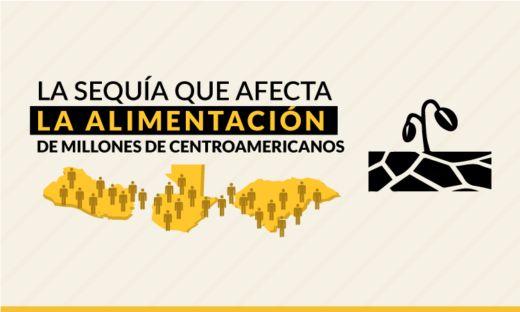 La sequía que afecta la alimentación de millones de centroamericanos ...