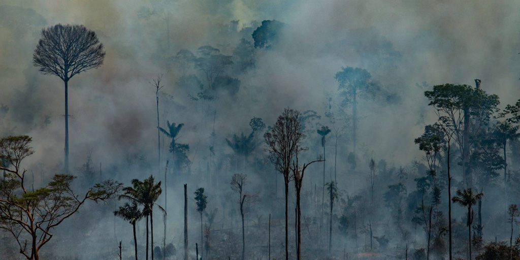 Investigador socioambiental advierte destrucción irreversible del Amazonas