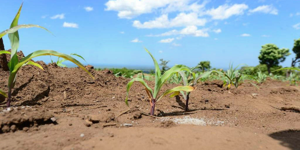 Vulnerabilidad ante el cambio climático, una crisis desatendida en el corredor seco