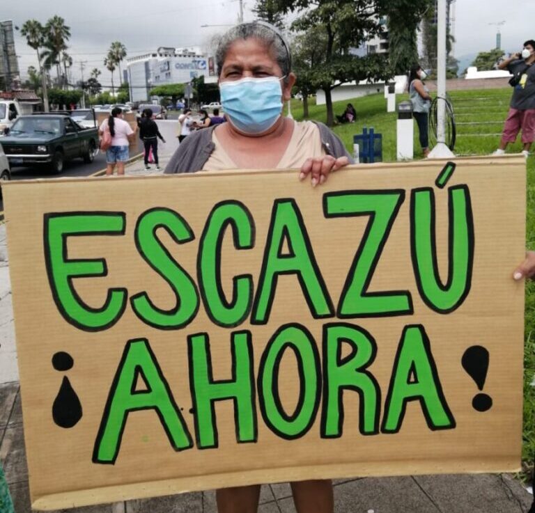 “El gobierno no quiere avanzar en democracia y gobernanza ambiental”