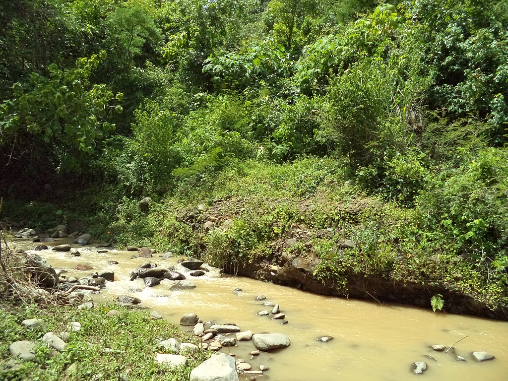 Los riesgos del bitcoin y la lucha por una Ley de Agua en El Salvador