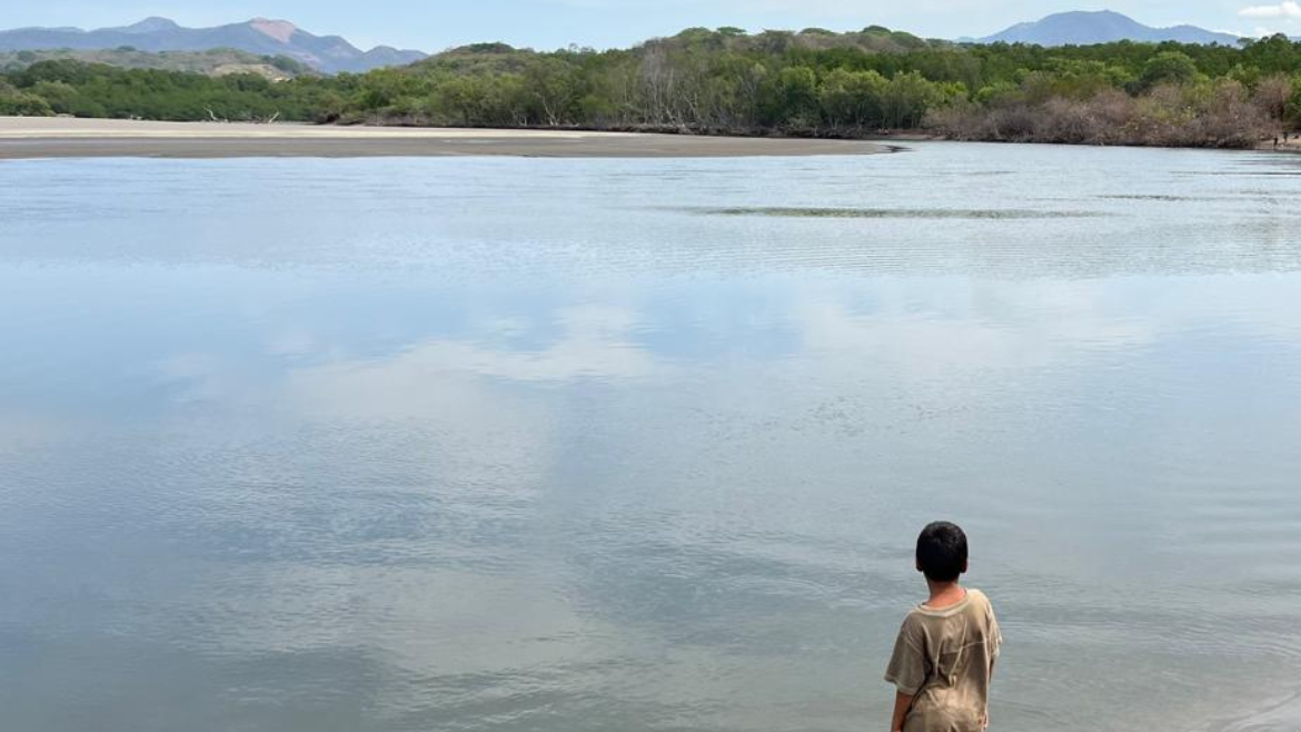 El dogma de la propiedad: Desalojos y derecho a la tierra en El Salvador